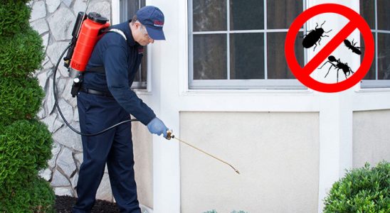 Mahmudiye Böcek İlaçlama böcek ilaçlama ve haşere kontrolü — ilaclama-tr.com